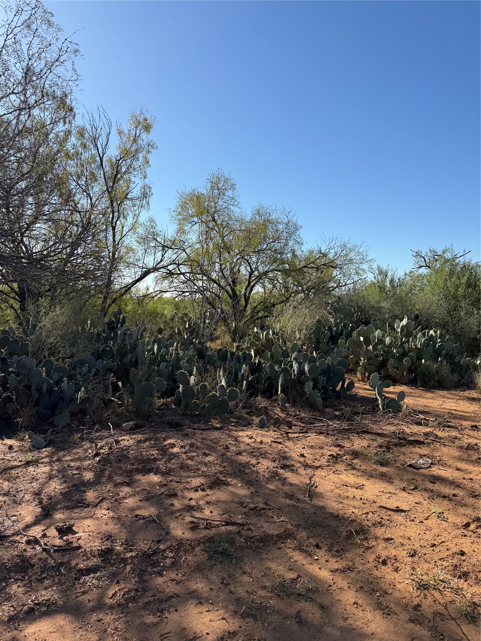 0004 County Road 300 J101, Jourdanton, TX, 78026 | 7804210 | Realty Texas LLC