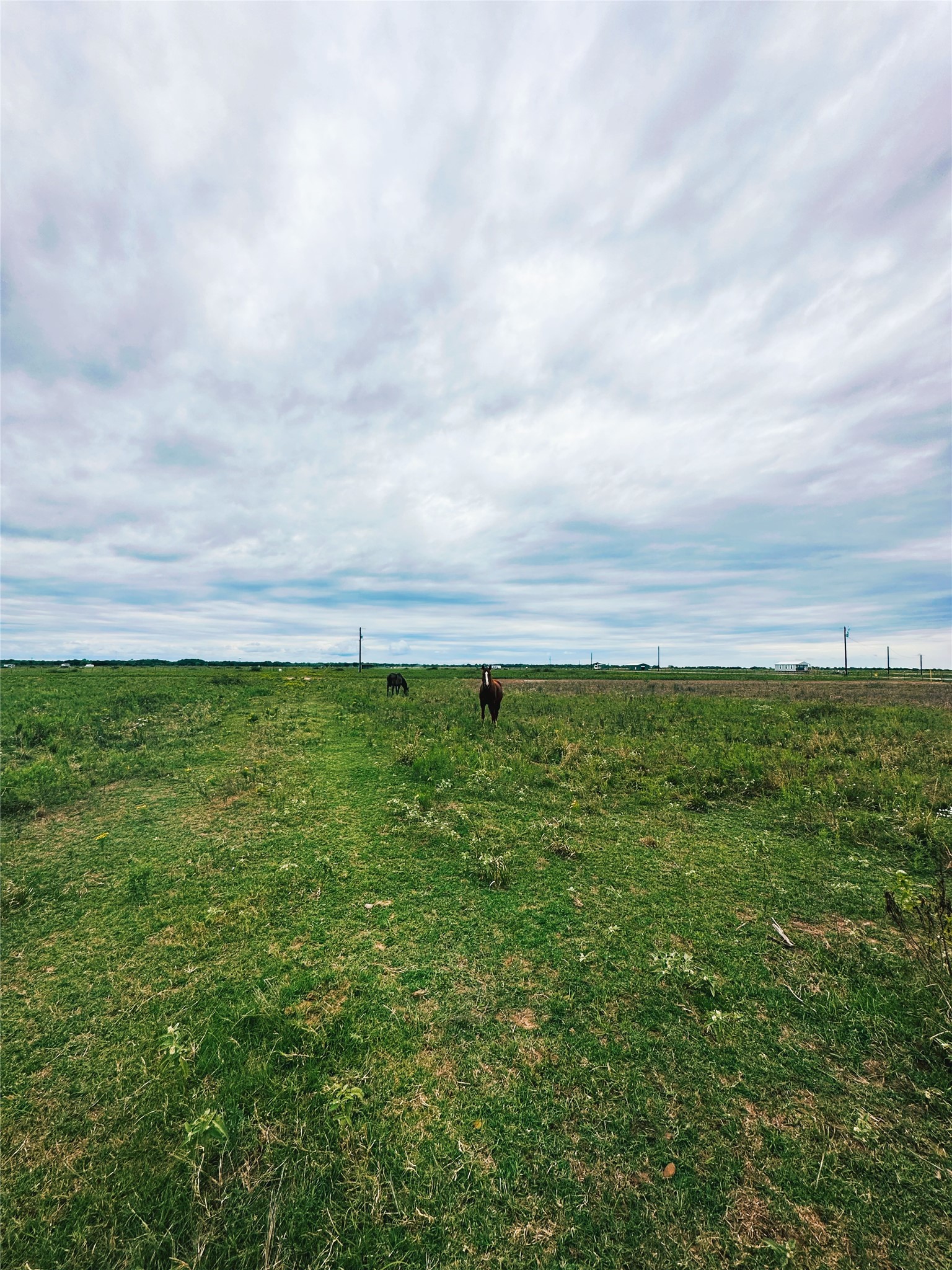 1249 Country Road 141, Garwood, TX, 77470 | 74904024 | Realty Texas LLC