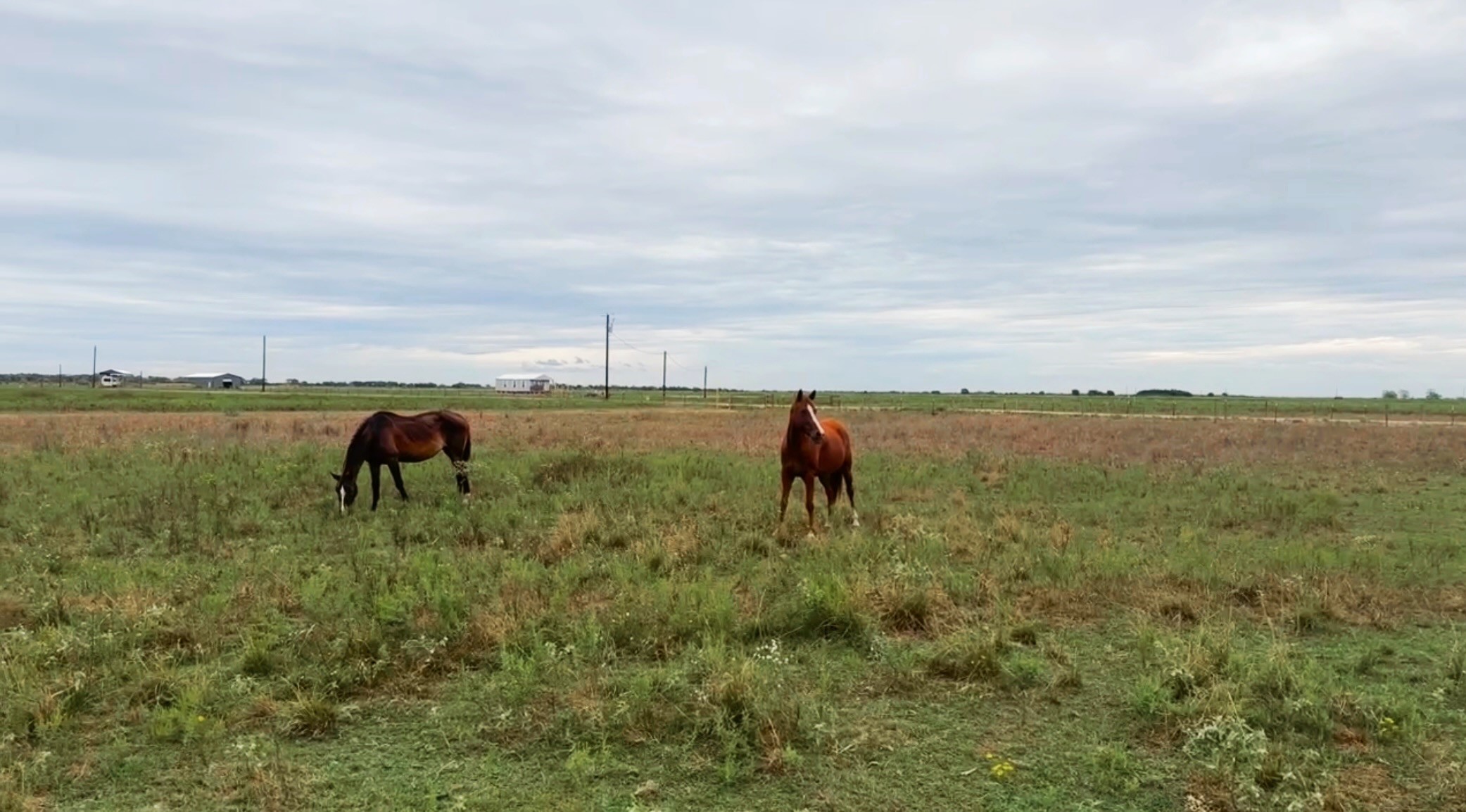 1249 Country Road 141, Garwood, TX, 77470 | 74904024 | Realty Texas LLC