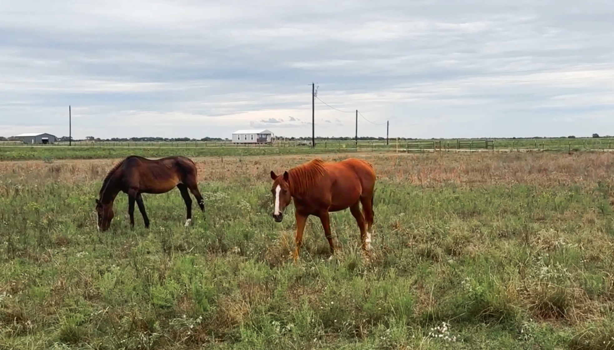 1249 Country Road 141, Garwood, TX, 77470 | 74904024 | Realty Texas LLC