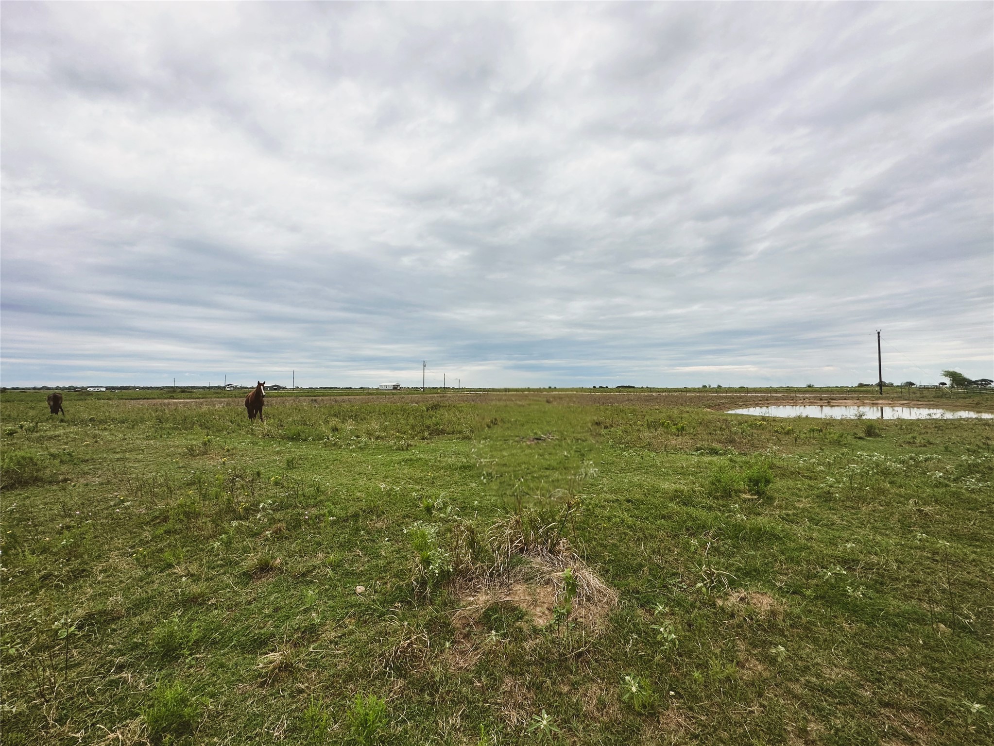 1249 Country Road 141, Garwood, TX, 77470 | 74904024 | Realty Texas LLC