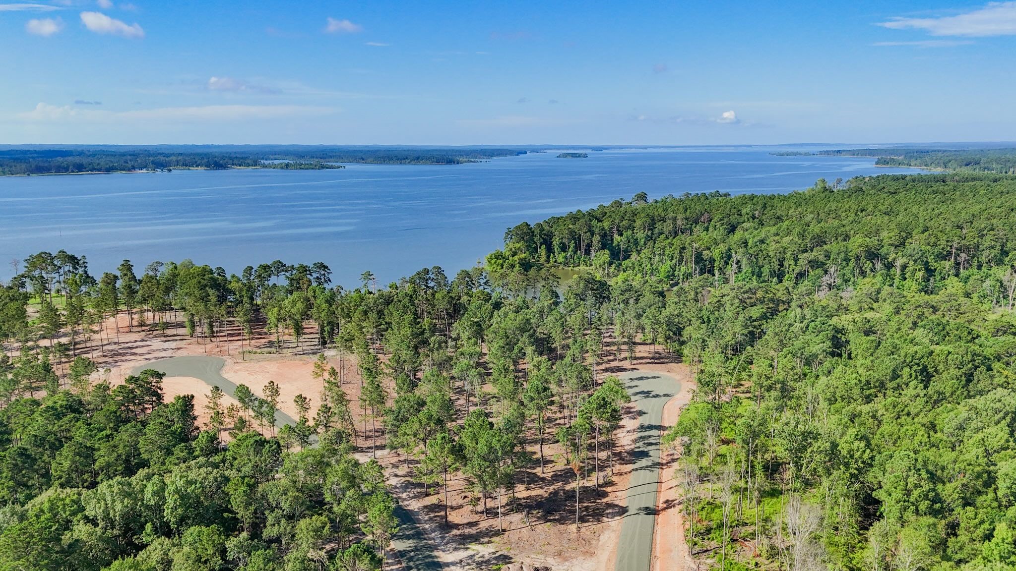 189 Foster Cove, Pineland, TX, 75968 | 76190730 | Realty Texas LLC