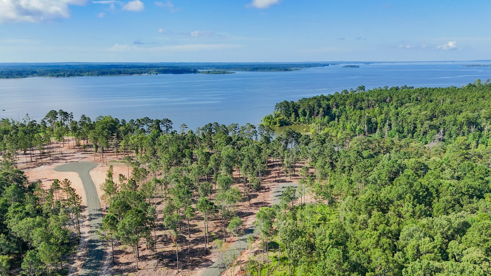 188 Foster Cove, Pineland, TX, 75968 | 11727770 | Realty Texas LLC