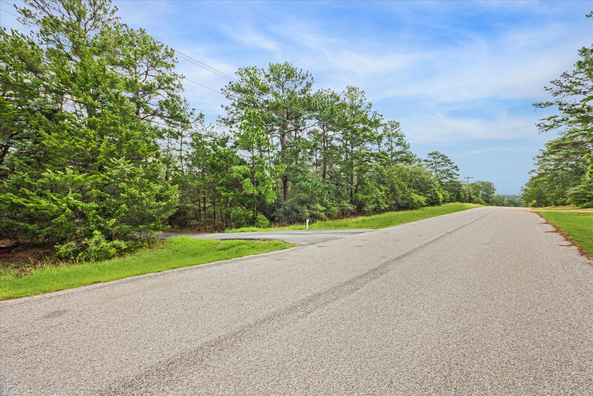 222 Pony Express DR, Smithville, TX, 78957 | 5492402 | Realty Texas LLC