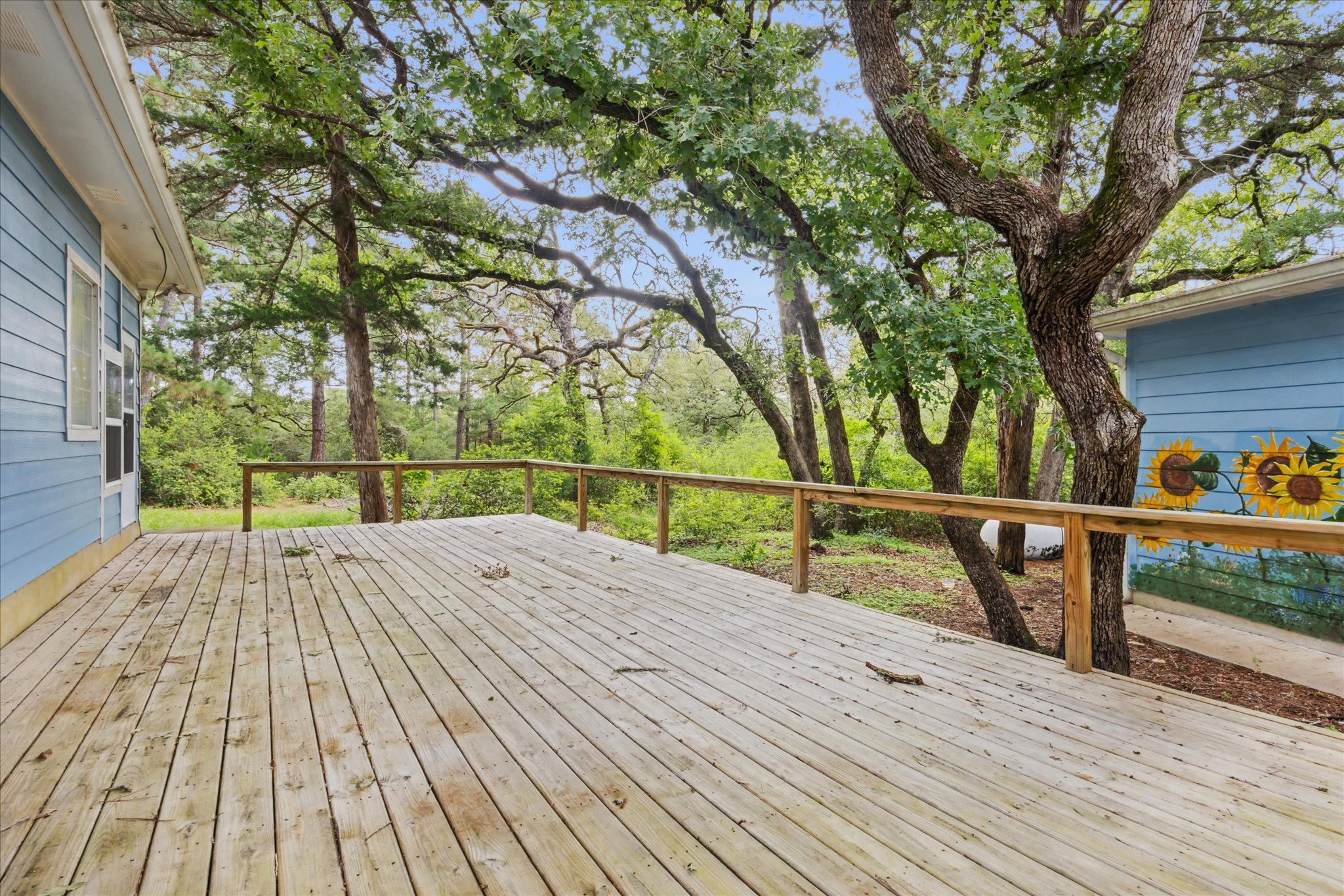 222 Pony Express DR, Smithville, TX, 78957 | 5492402 | Realty Texas LLC