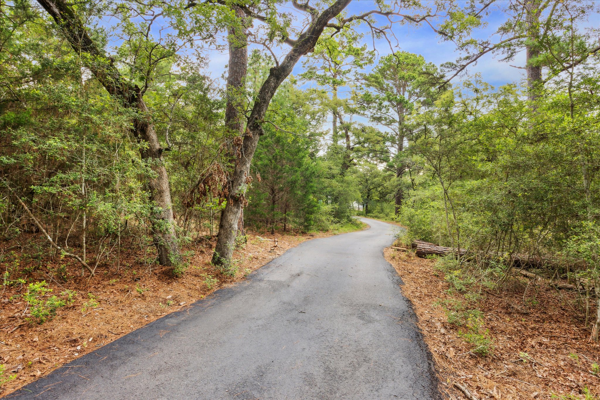 222 Pony Express DR, Smithville, TX, 78957 | 5492402 | Realty Texas LLC