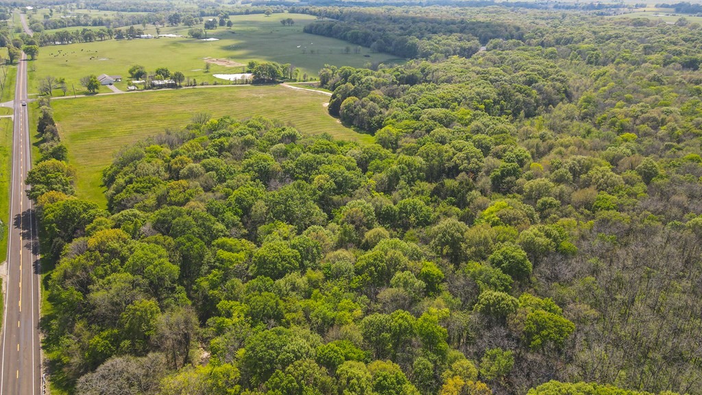 282 VZCR 2801, Mabank, TX, 75147 | 20924863 | Realty Texas LLC