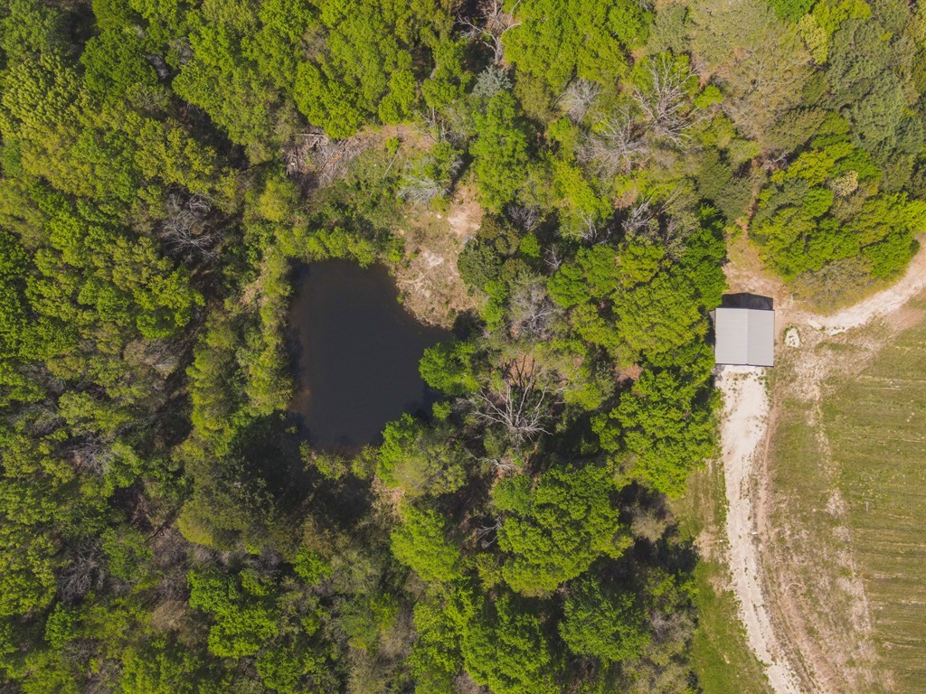 282 VZCR 2801, Mabank, TX, 75147 | 20924863 | Realty Texas LLC