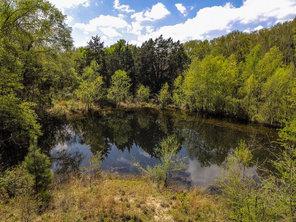 282 VZCR 2801, Mabank, TX, 75147 | 20924863 | Realty Texas LLC
