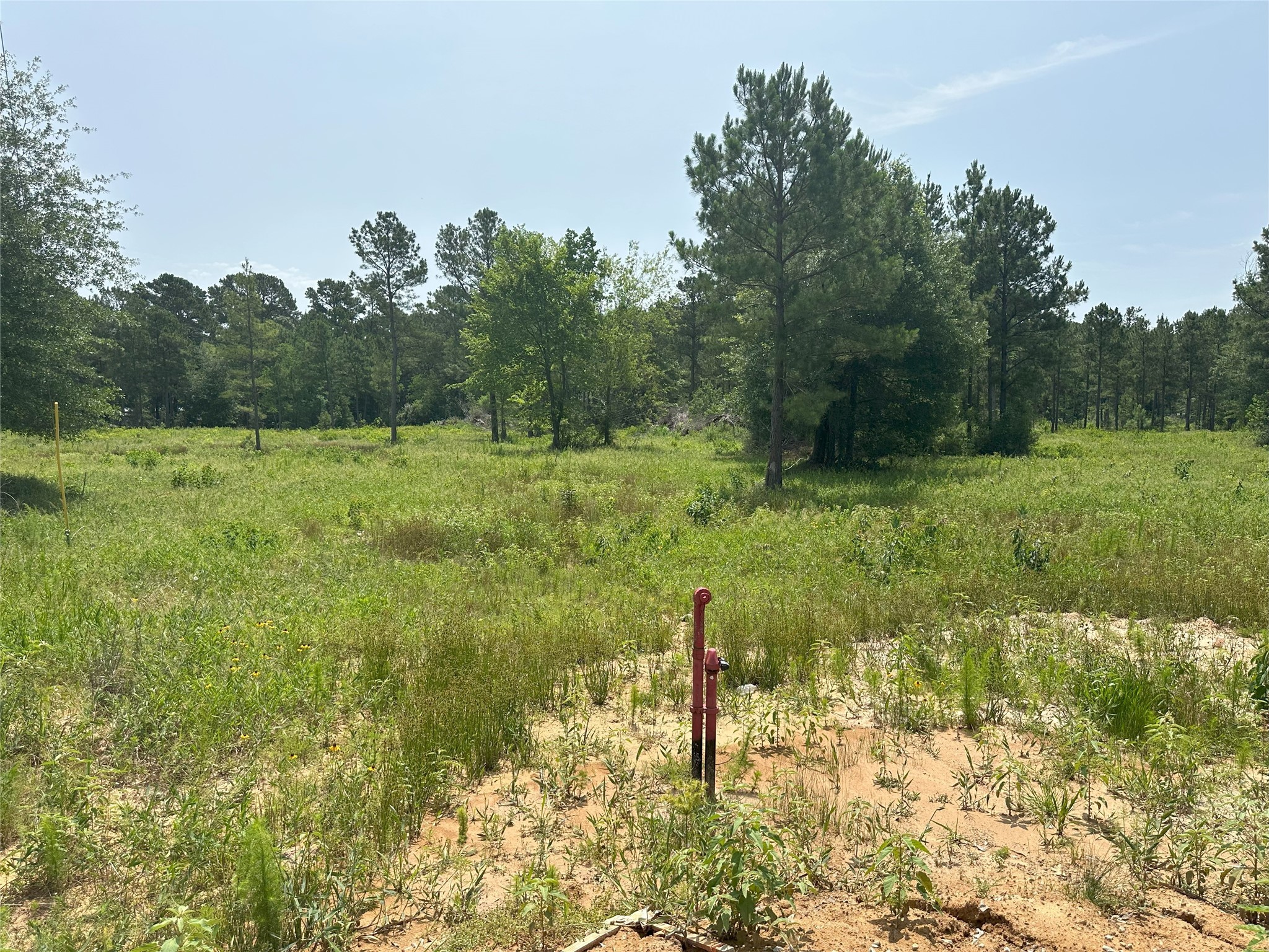 31914 Boone Road, Waller, TX, 77484 | 27264077 | Realty Texas LLC