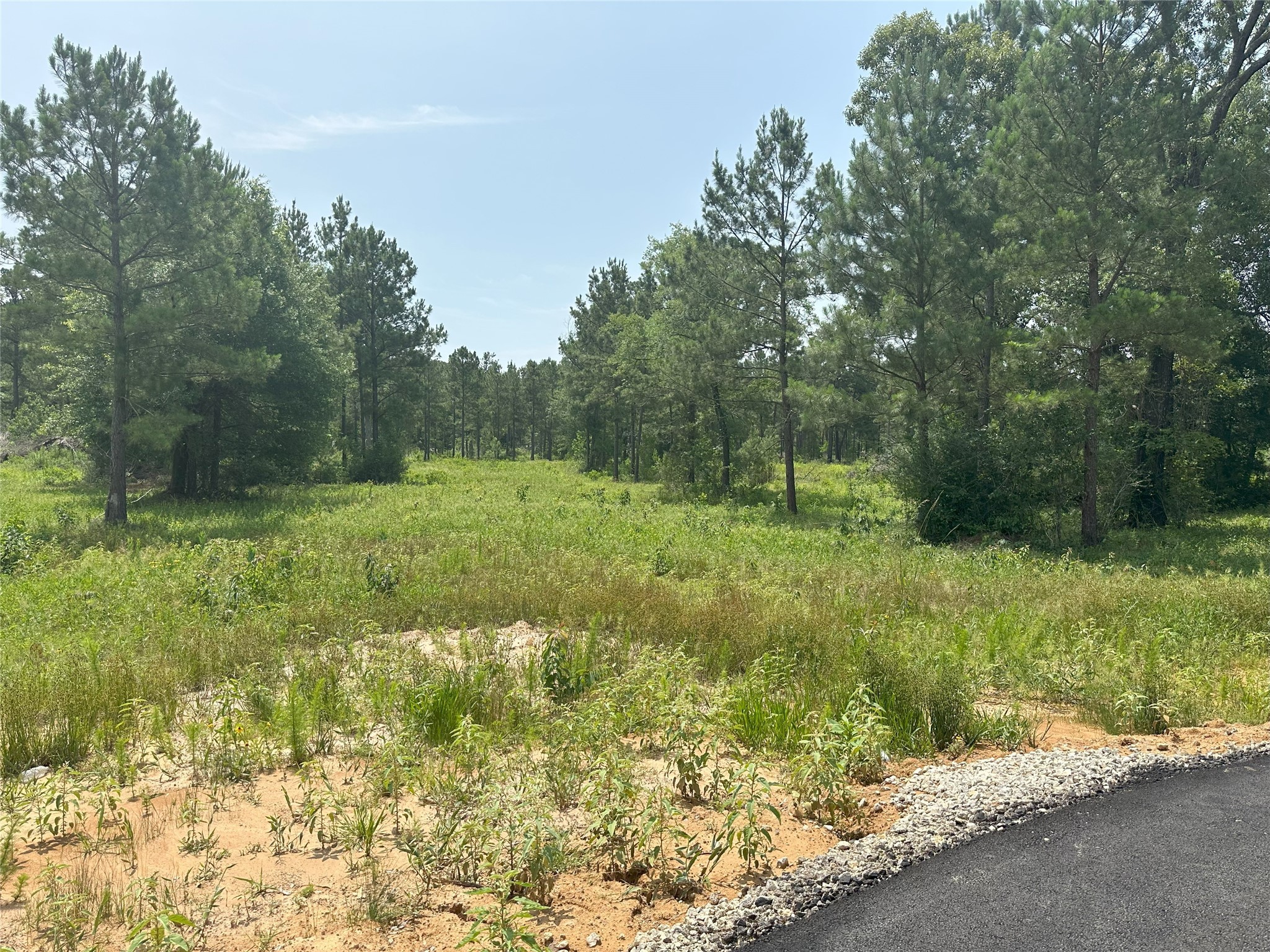 31914 Boone Road, Waller, TX, 77484 | 27264077 | Realty Texas LLC