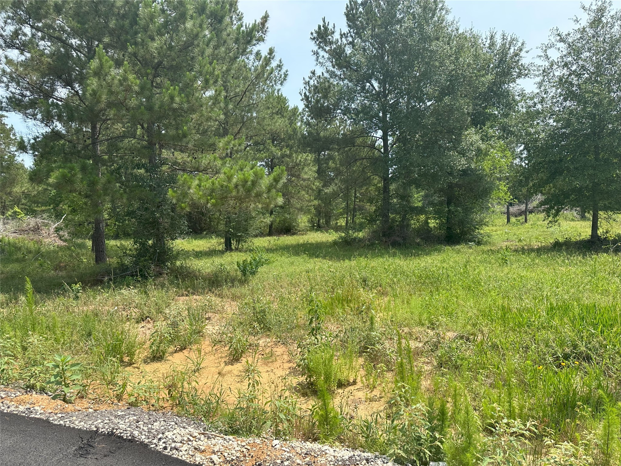 31914 Boone Road, Waller, TX, 77484 | 27264077 | Realty Texas LLC
