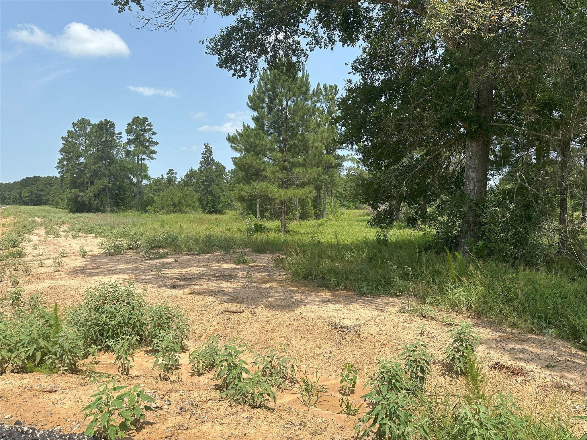 31914 Boone Road, Waller, TX, 77484 | 27264077 | Realty Texas LLC