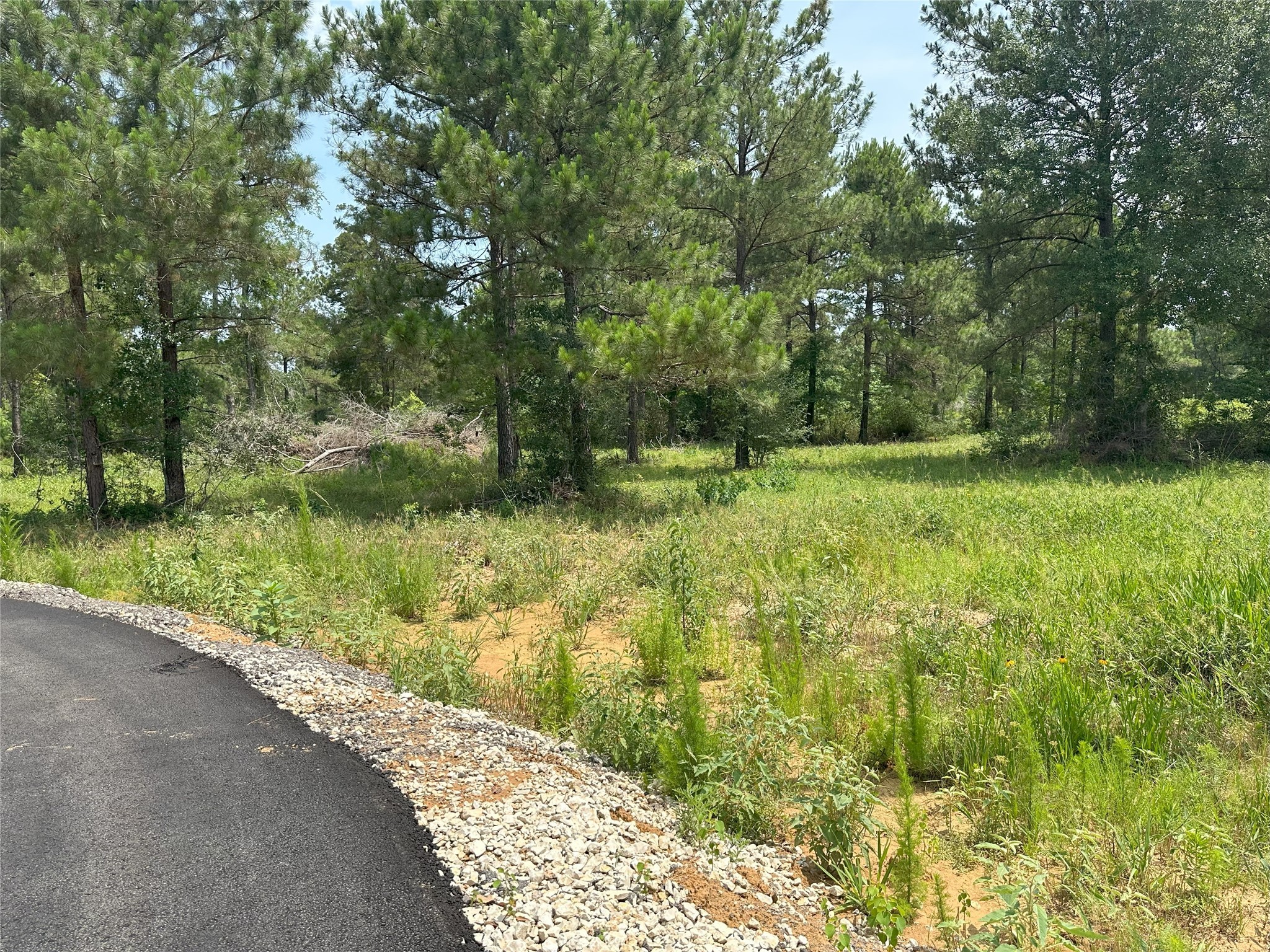 31914 Boone Road, Waller, TX, 77484 | 27264077 | Realty Texas LLC