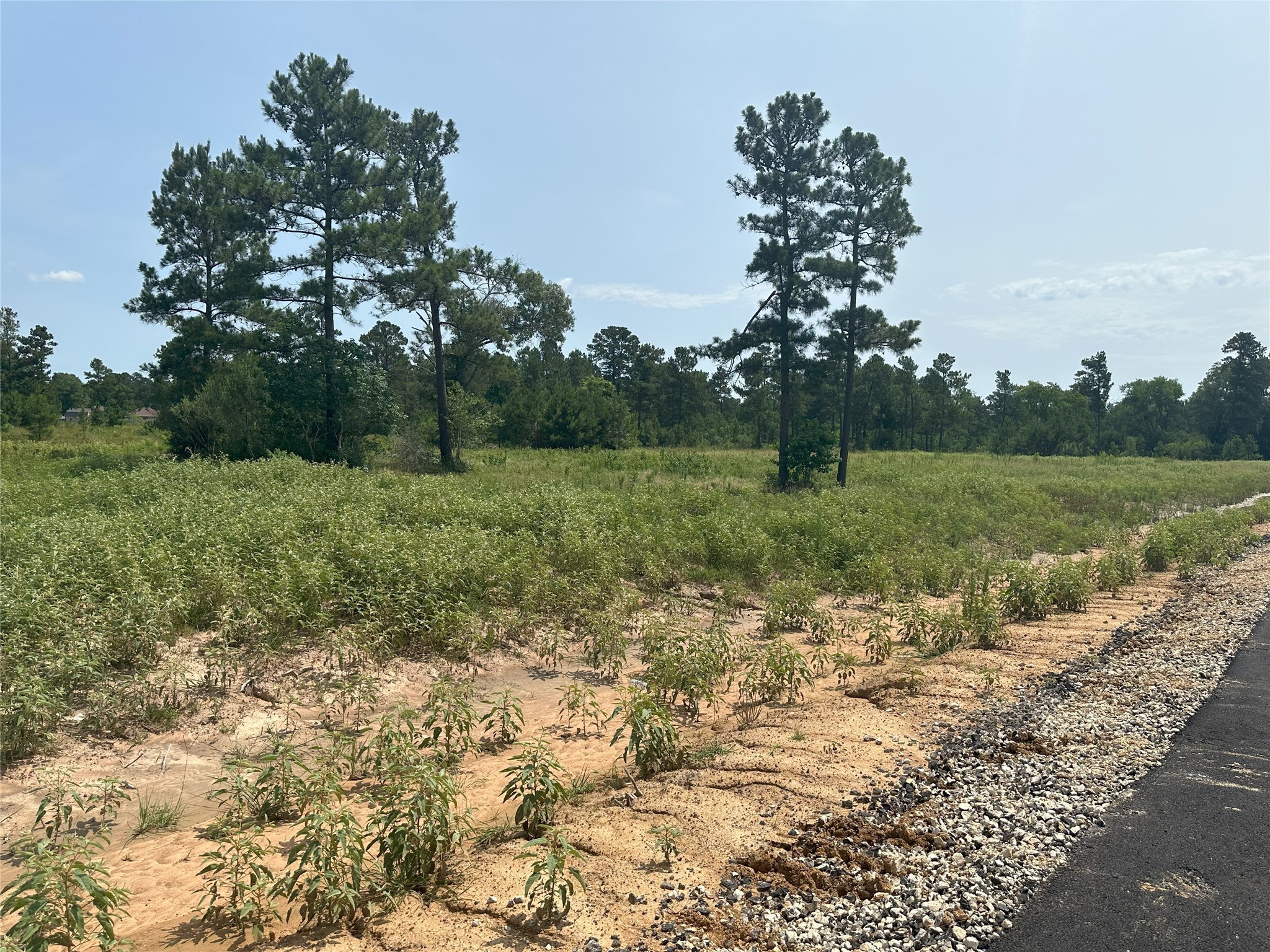 31914 Boone Road, Waller, TX, 77484 | 27264077 | Realty Texas LLC
