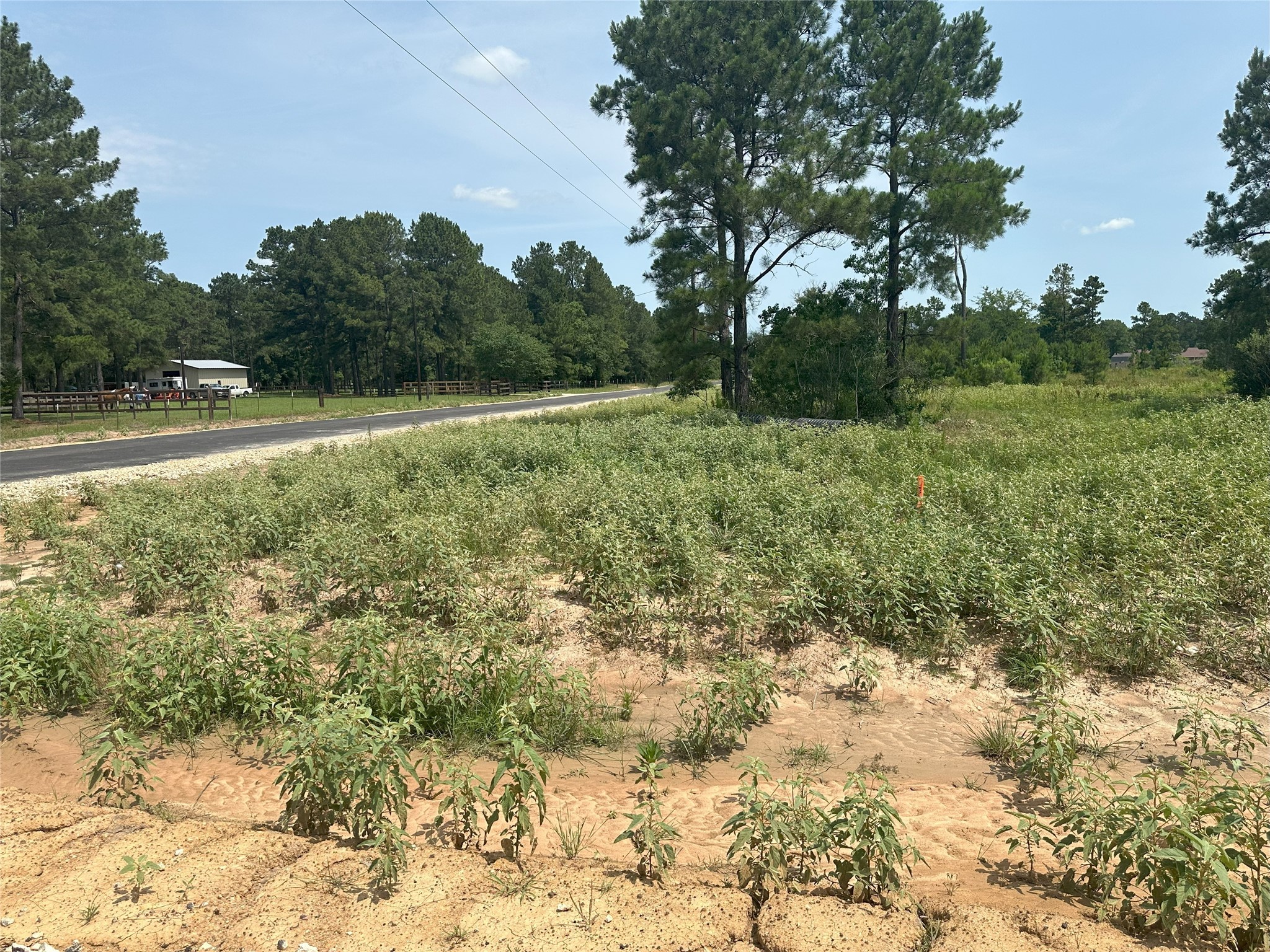 31914 Boone Road, Waller, TX, 77484 | 27264077 | Realty Texas LLC