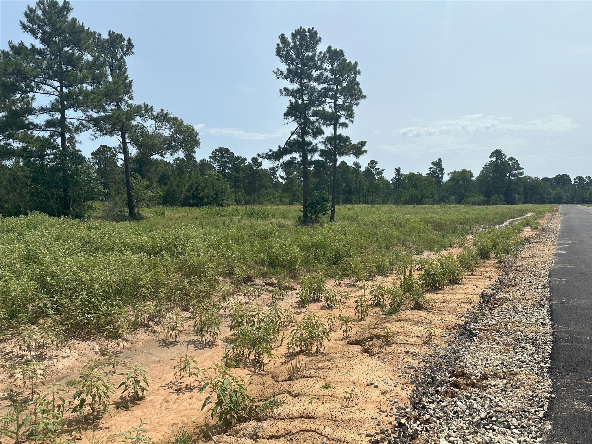31914 Boone Road, Waller, TX, 77484 | 27264077 | Realty Texas LLC