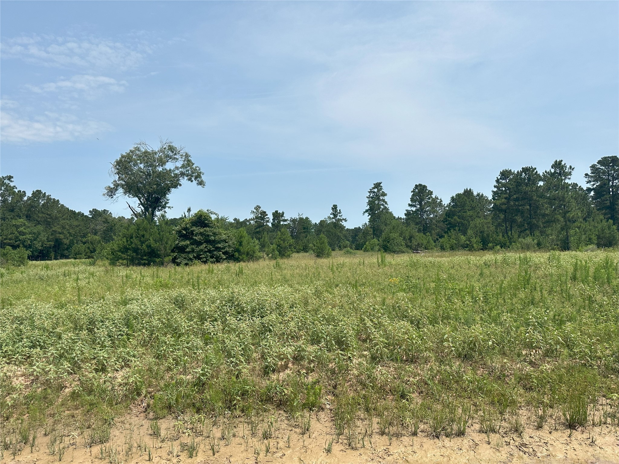 31914 Boone Road, Waller, TX, 77484 | 27264077 | Realty Texas LLC
