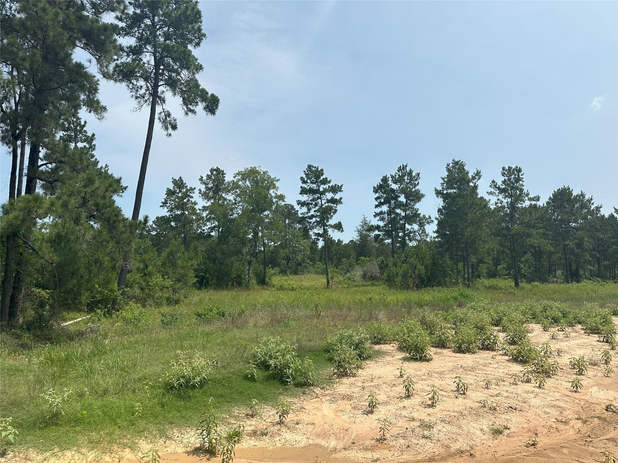 31914 Boone Road, Waller, TX, 77484 | 27264077 | Realty Texas LLC