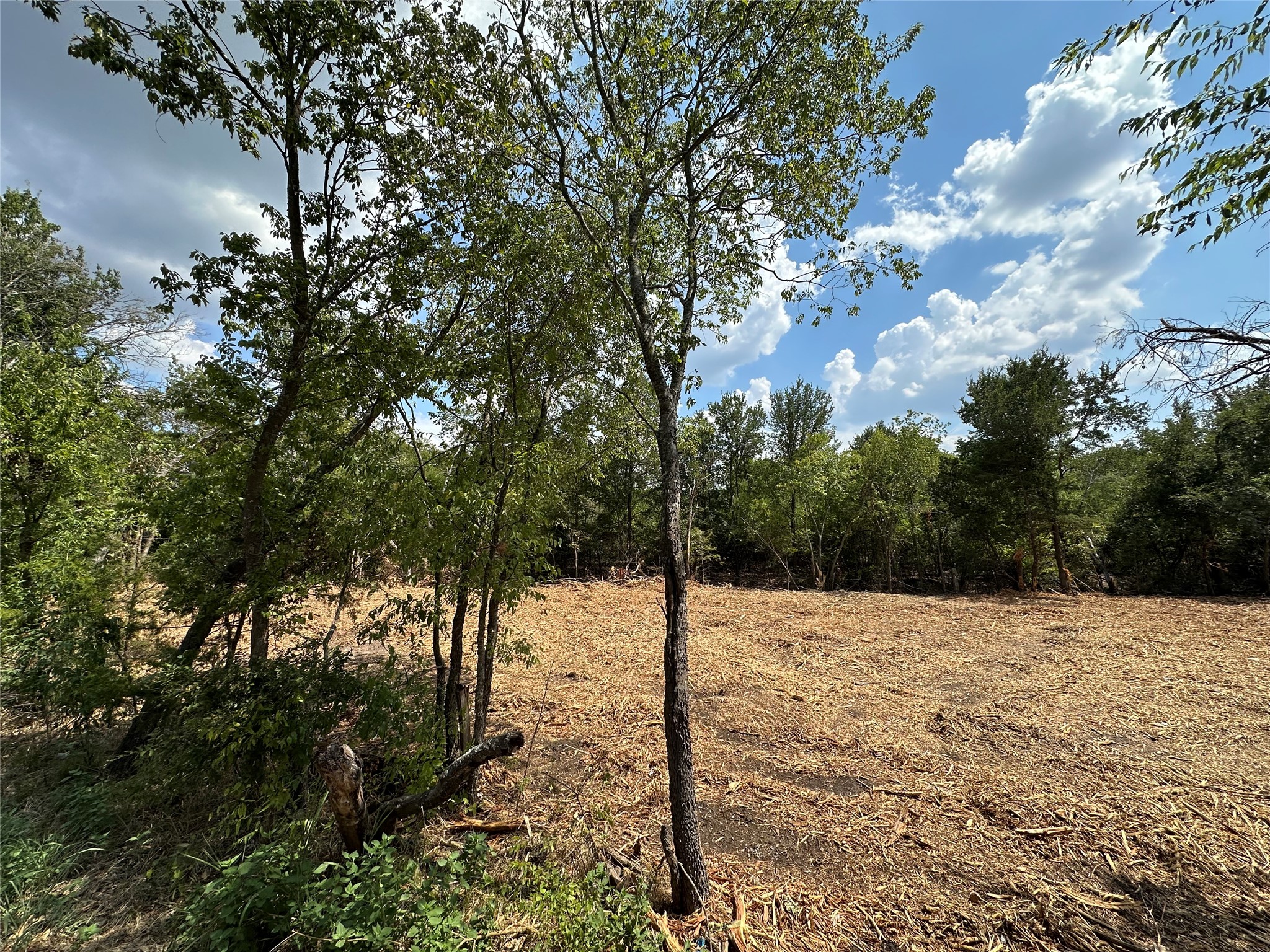 TBD Cr-2720, Caddo Mills, TX, 75135 | 20985157 | Realty Texas LLC