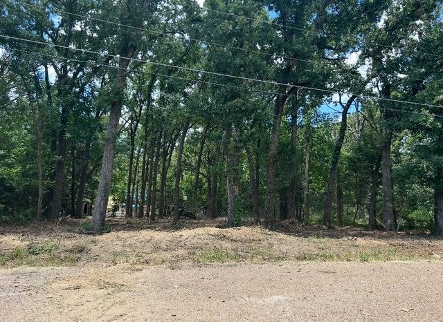 104 Red Bluff Loop, Mabank, TX, 75156 | 20983640 | Realty Texas LLC