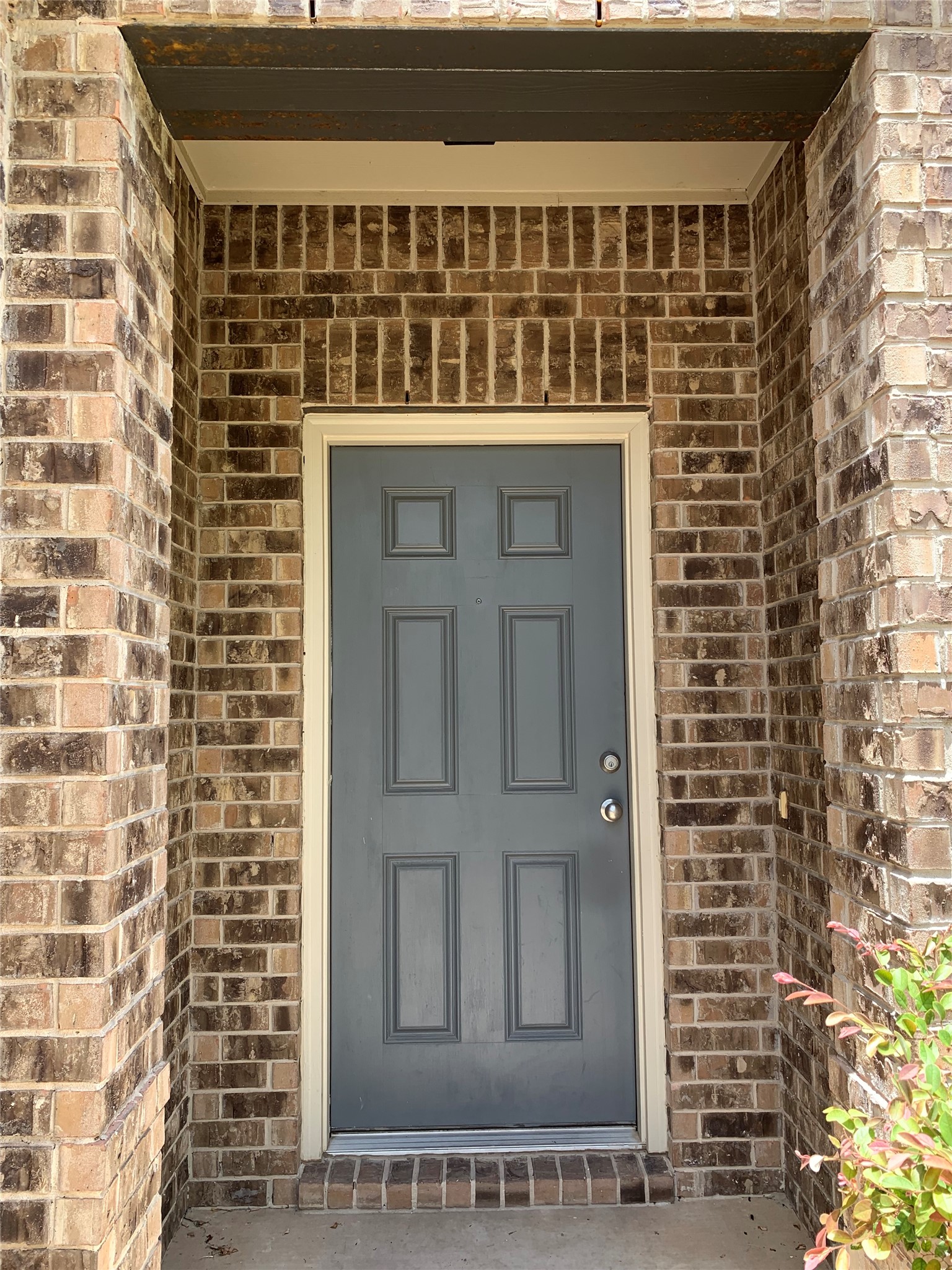 113 Sierra Mar LOOP, Leander, TX, 78641 | 8076281 | Realty Texas LLC