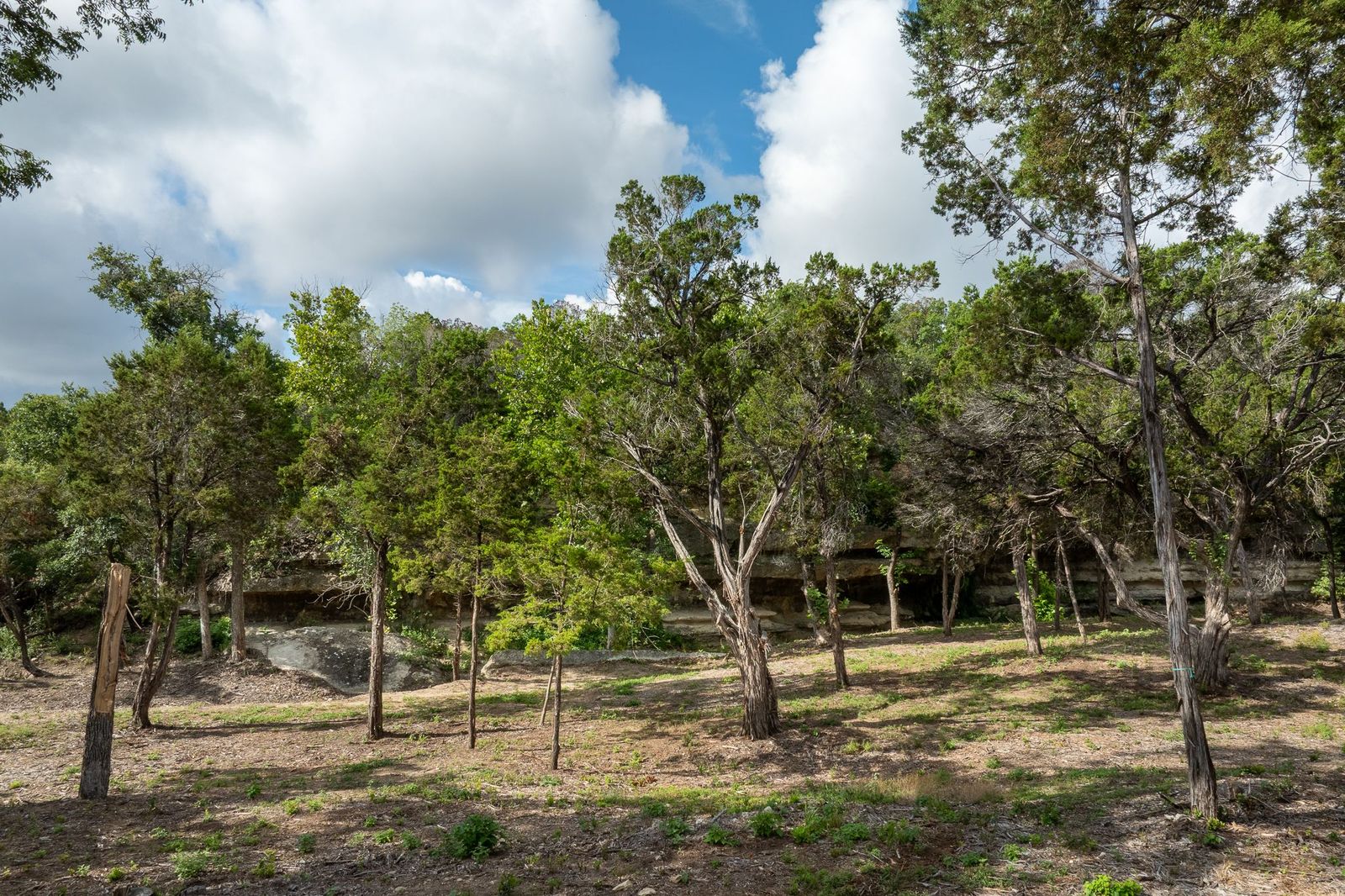 23644 Nameless RD, Leander, TX, 78641 | 3895390 | Realty Texas LLC