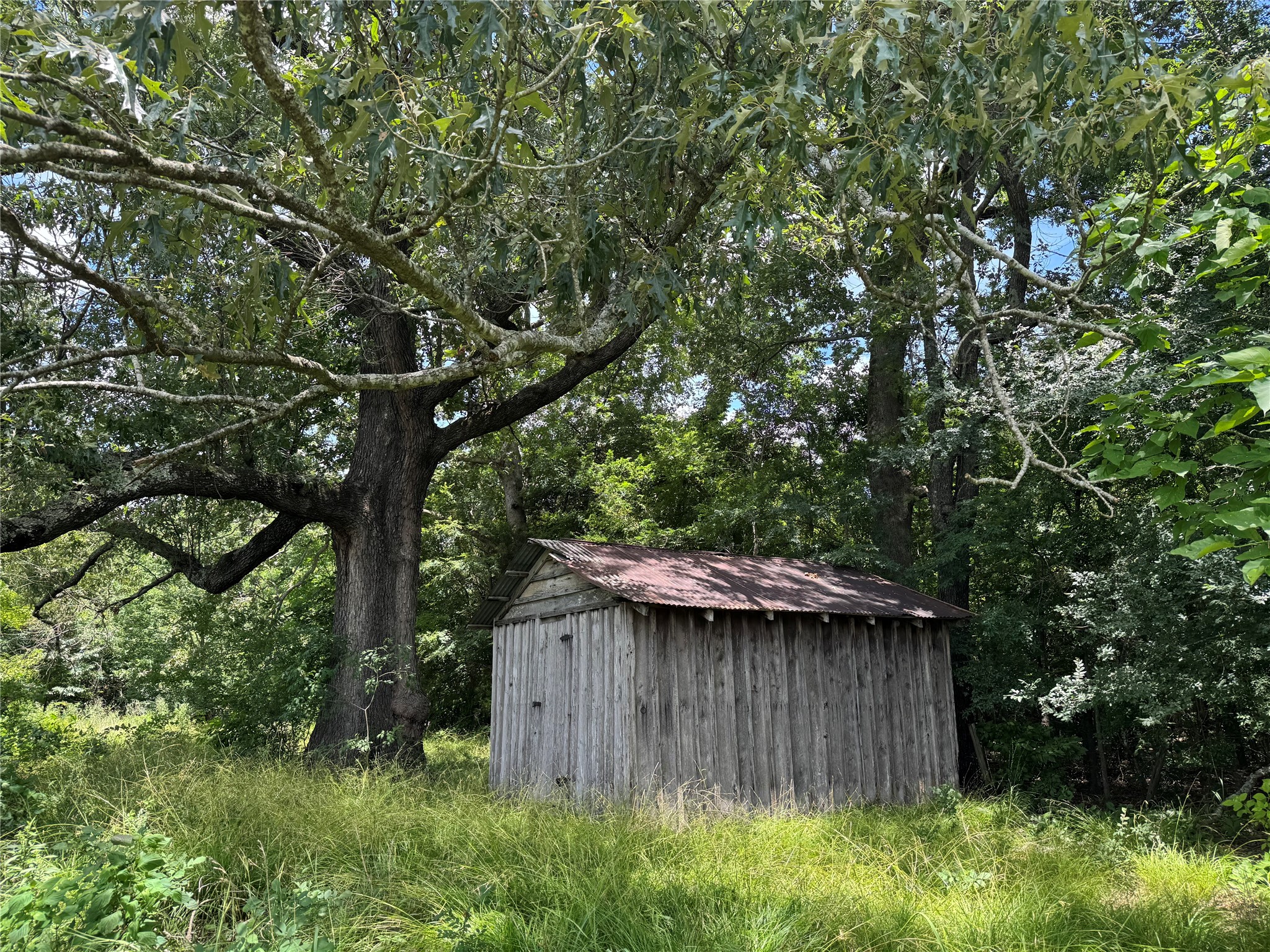 TBD County Road 3925, Mt Pleasant, TX, 75455 | 20982339 | Realty Texas LLC