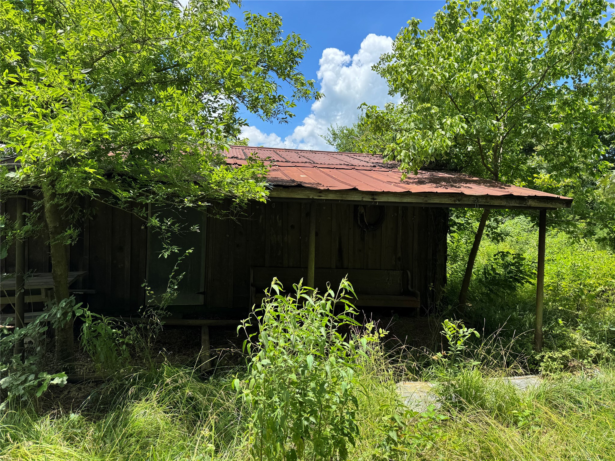 TBD County Road 3925, Mt Pleasant, TX, 75455 | 20982339 | Realty Texas LLC