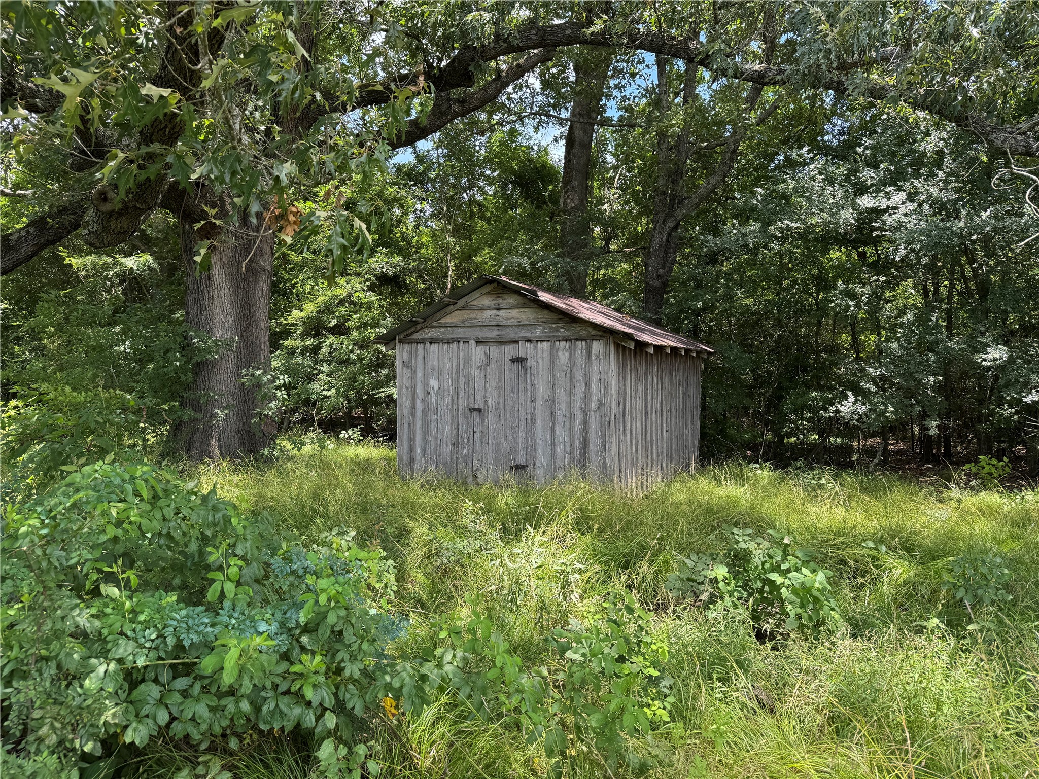 TBD County Road 3925, Mt Pleasant, TX, 75455 | 20982339 | Realty Texas LLC