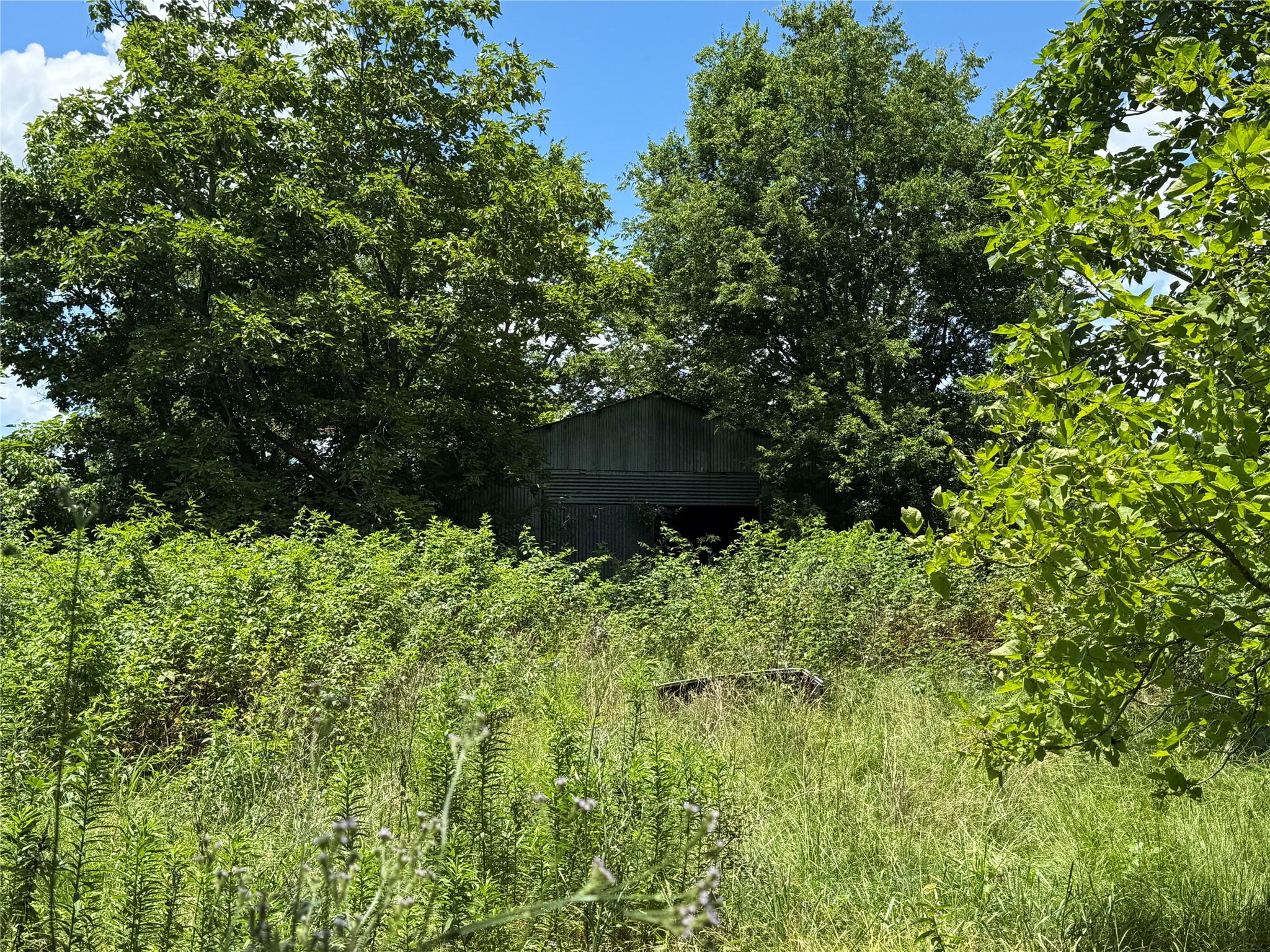 TBD County Road 3925, Mt Pleasant, TX, 75455 | 20982339 | Realty Texas LLC