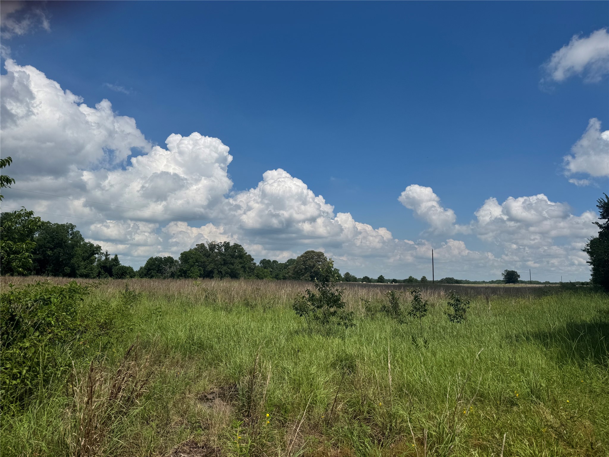 TBD County Road 3925, Mt Pleasant, TX, 75455 | 20982339 | Realty Texas LLC