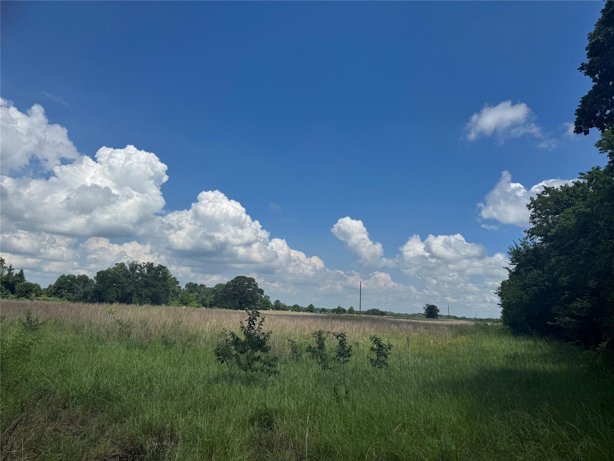 TBD County Road 3925, Mt Pleasant, TX, 75455 | 20982339 | Realty Texas LLC