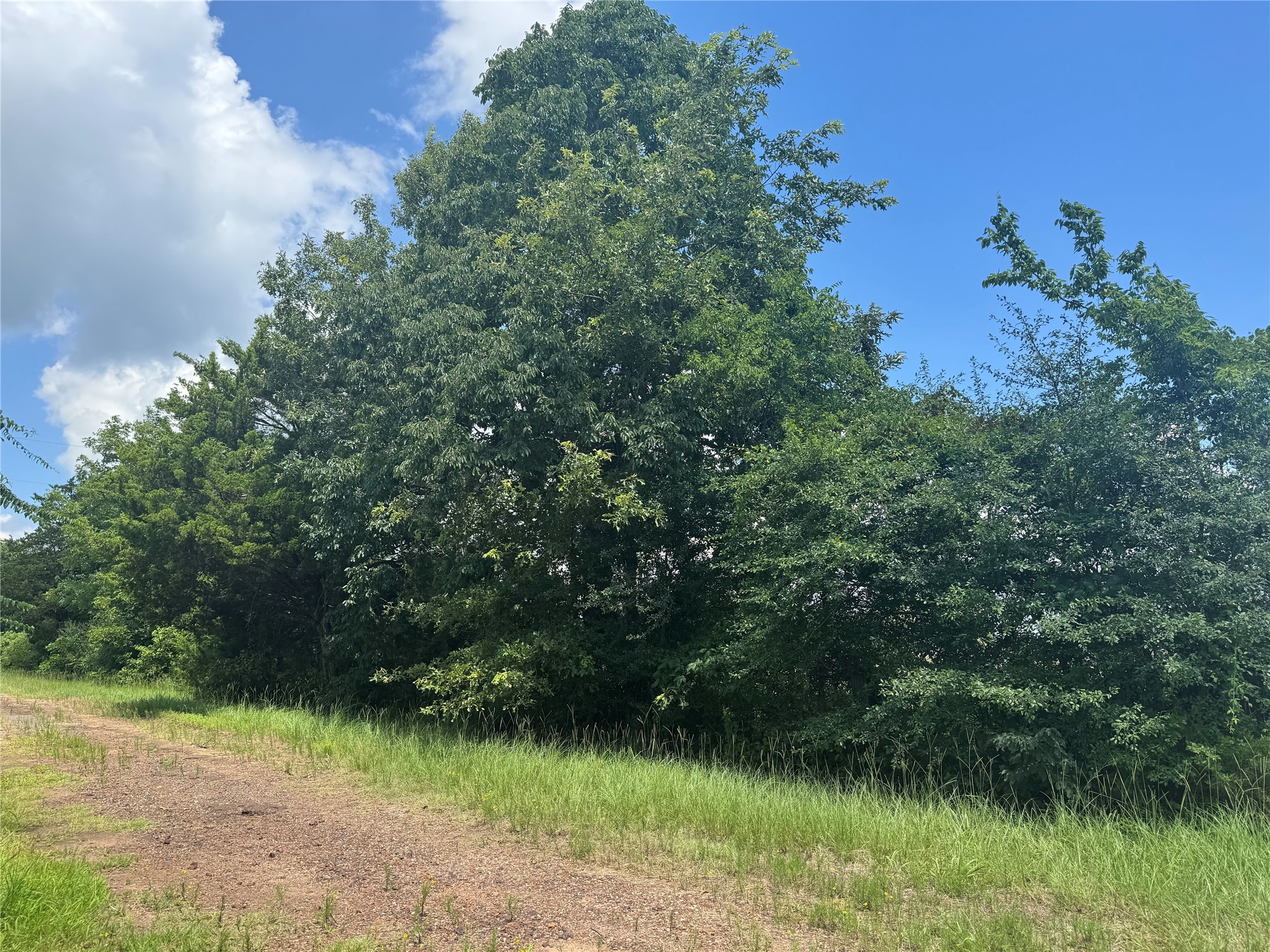 TBD County Road 3925, Mt Pleasant, TX, 75455 | 20982339 | Realty Texas LLC