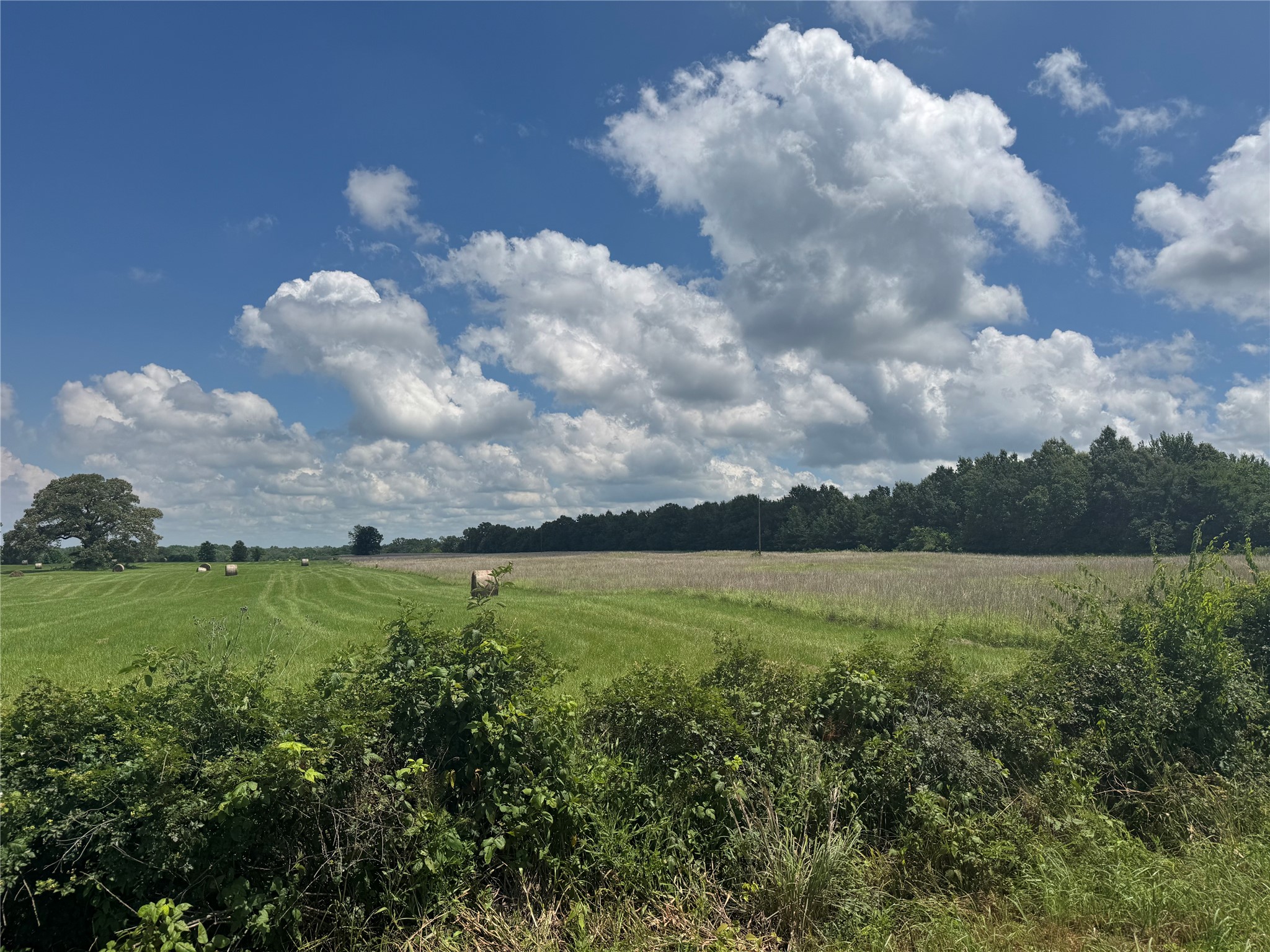 TBD County Road 3925, Mt Pleasant, TX, 75455 | 20982339 | Realty Texas LLC