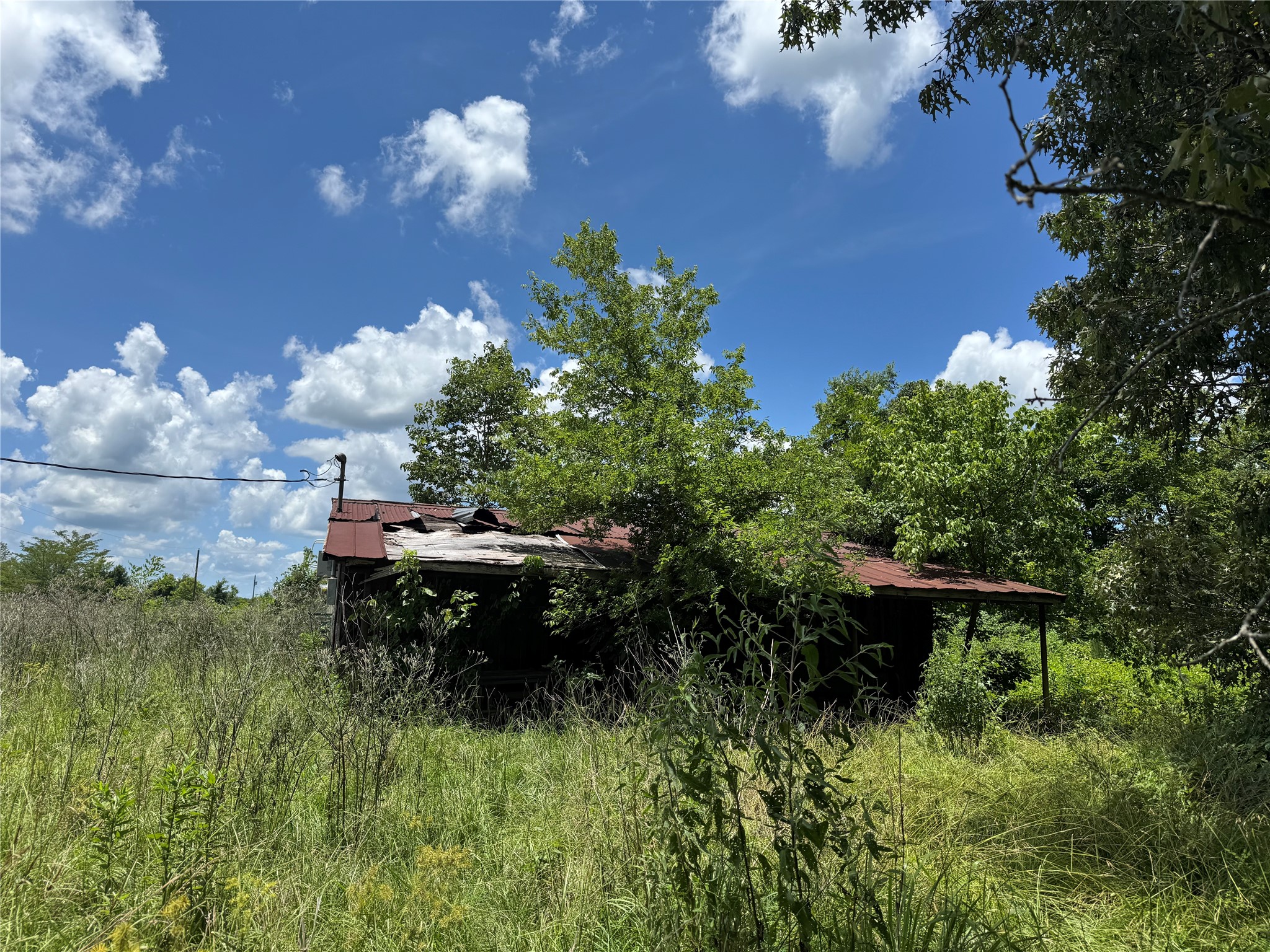 TBD County Road 3925, Mt Pleasant, TX, 75455 | 20982339 | Realty Texas LLC