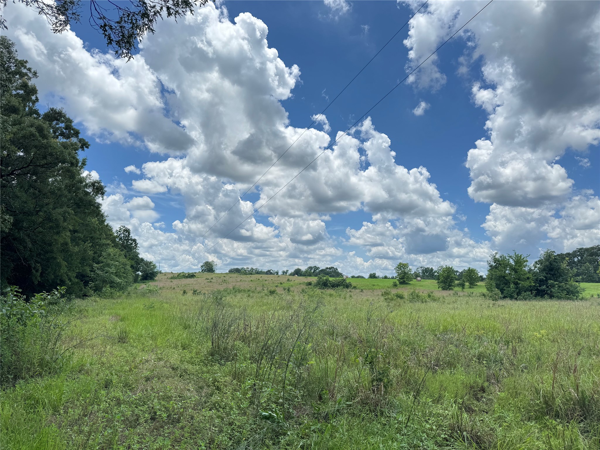 TBD County Road 3925, Mt Pleasant, TX, 75455 | 20982339 | Realty Texas LLC