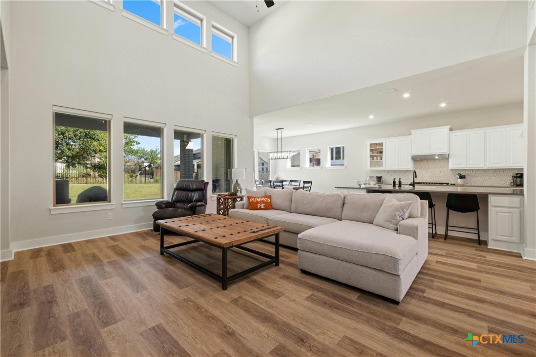 117 Peacevine Lane, Liberty Hill, TX, 78642 | 586374 | Realty Texas LLC