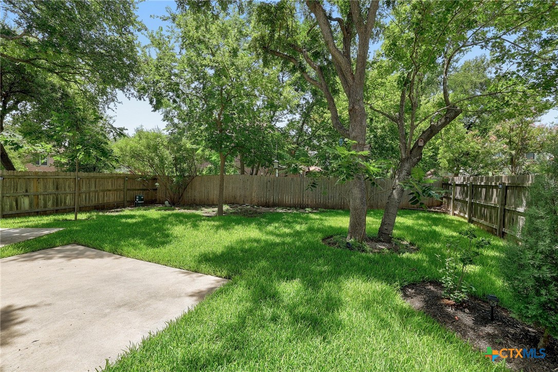 703 Ivy Court, Round Rock, TX, 78681 | 587046 | Realty Texas LLC