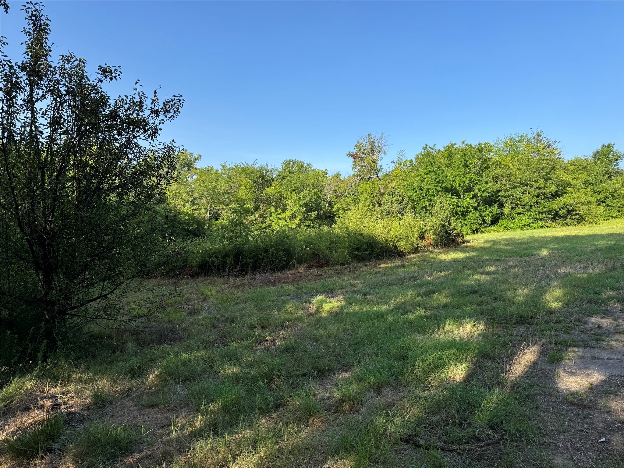 2109 Island, Bonham, TX, 75418 | 21006020 | Realty Texas LLC