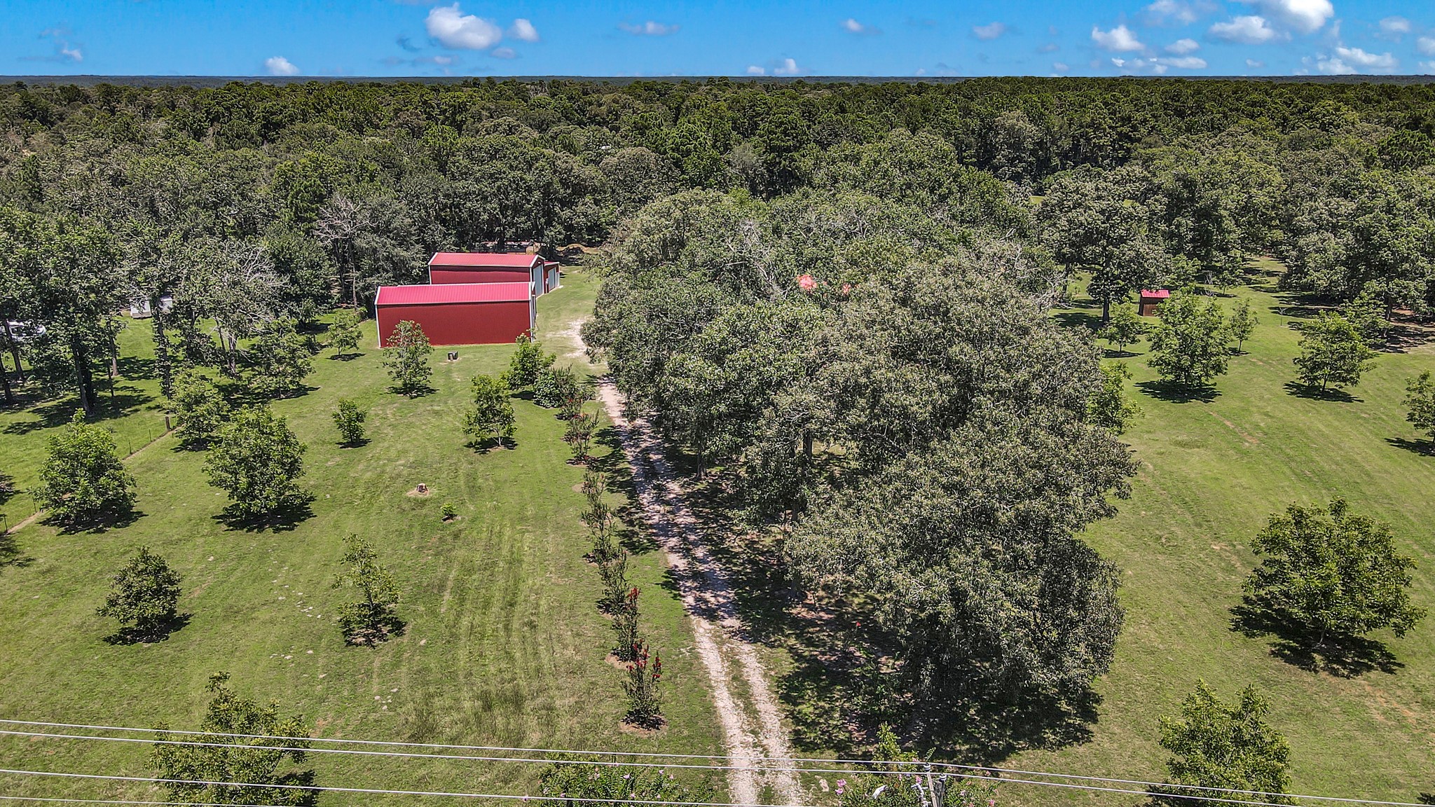 12125 Willis Waukegan Road, Conroe, TX, 77303 | 69529245 | Realty Texas LLC