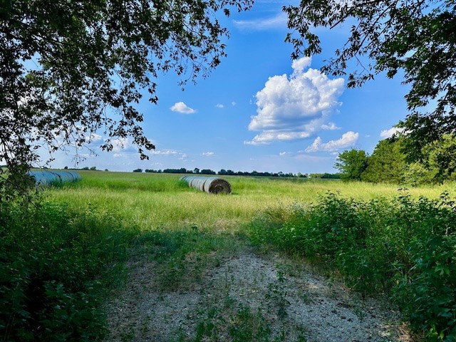 TBD 19.933AC TX-11, Bailey, TX, 75413 | 21030483 | Realty Texas LLC