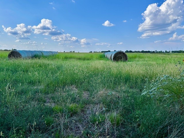 TBD 19.933AC TX-11, Bailey, TX, 75413 | 21030483 | Realty Texas LLC