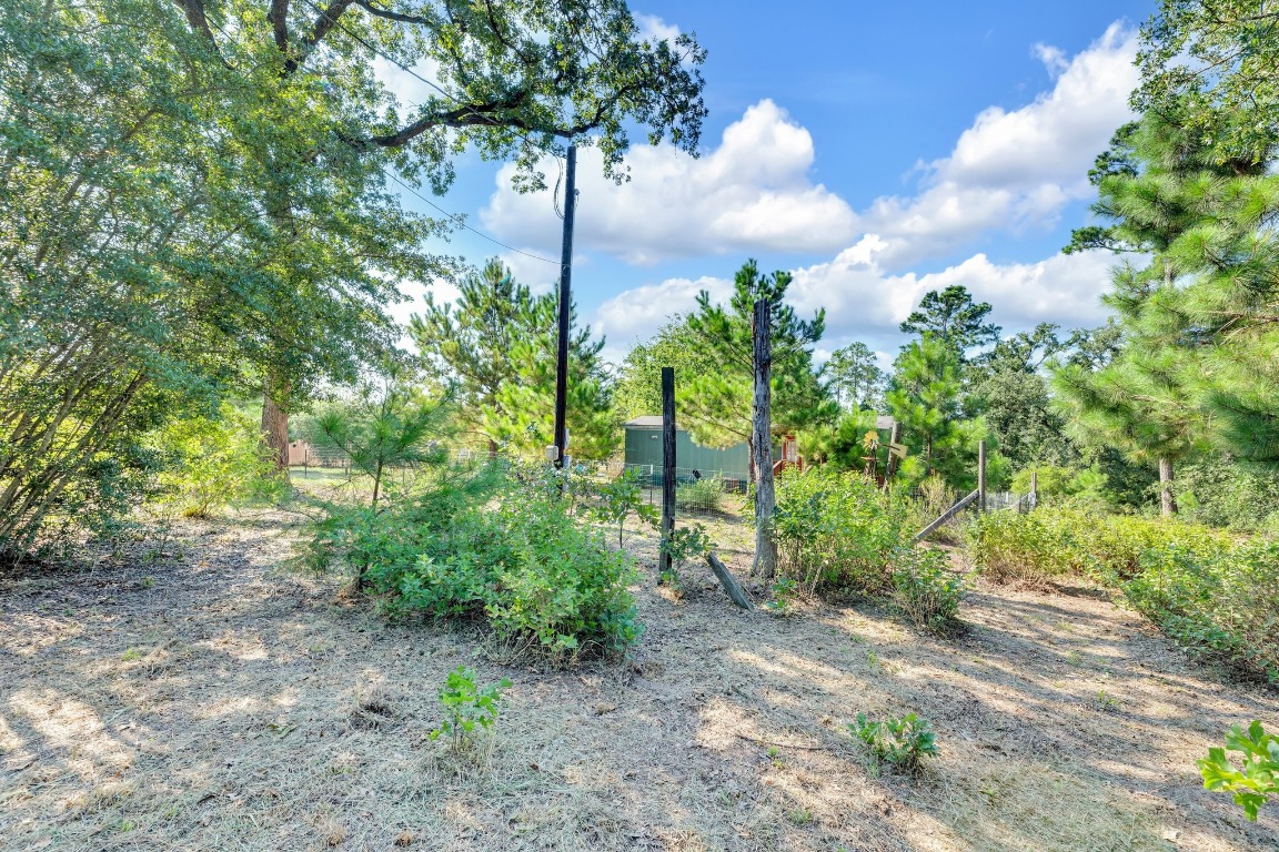 142 Forest Lane, Bastrop, TX, 78602 | 7823249 | Realty Texas LLC