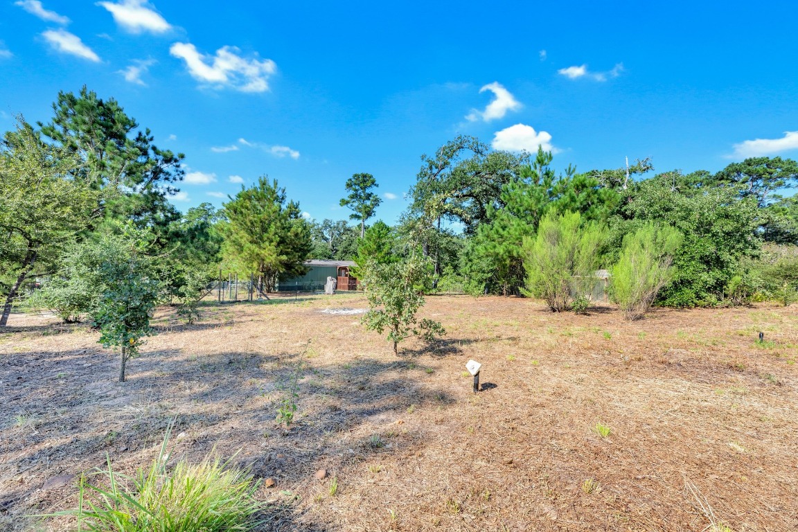142 Forest Lane, Bastrop, TX, 78602 | 7823249 | Realty Texas LLC