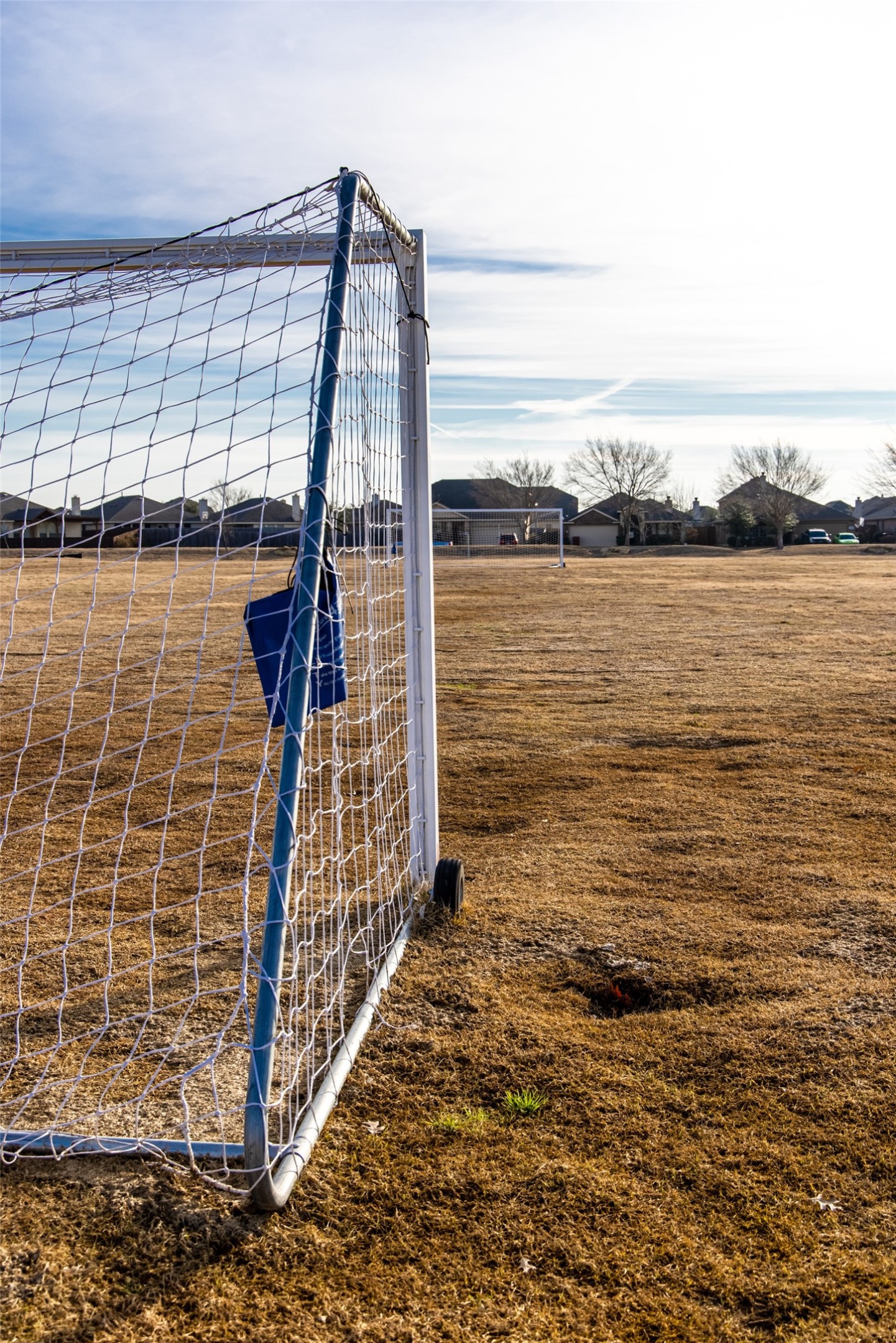 1609 Etosha Drive, Royse City, TX, 75189 | 21052311 | Realty Texas LLC