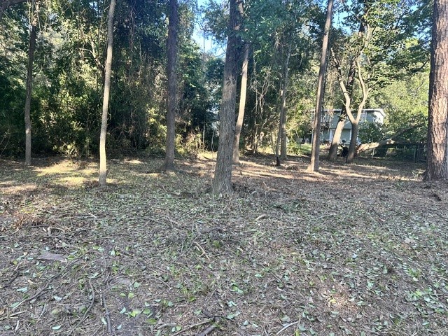 00 Kickapoo Trail, Willis, TX, 77378 | 74578891 | Realty Texas LLC