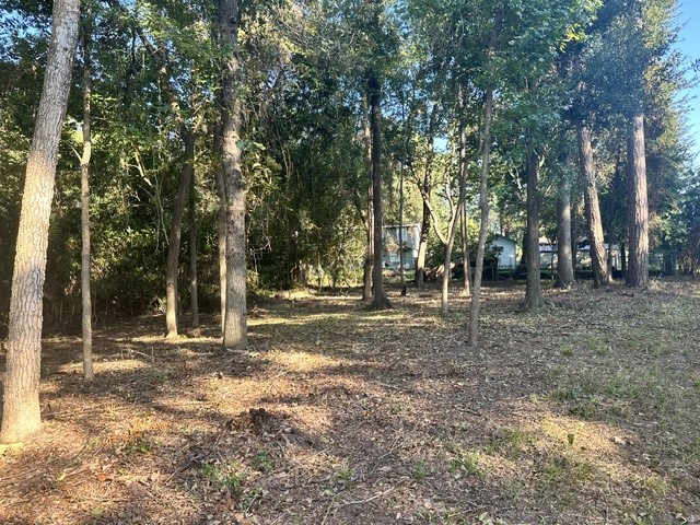 00 Kickapoo Trail, Willis, TX, 77378 | 74578891 | Realty Texas LLC