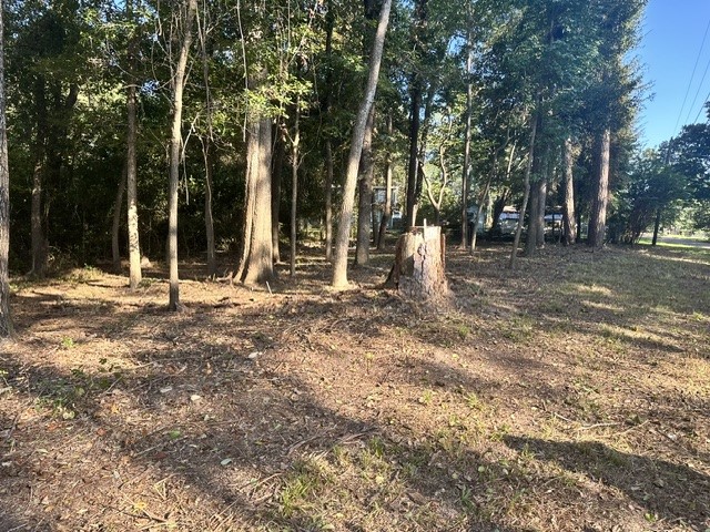 00 Kickapoo Trail, Willis, TX, 77378 | 74578891 | Realty Texas LLC