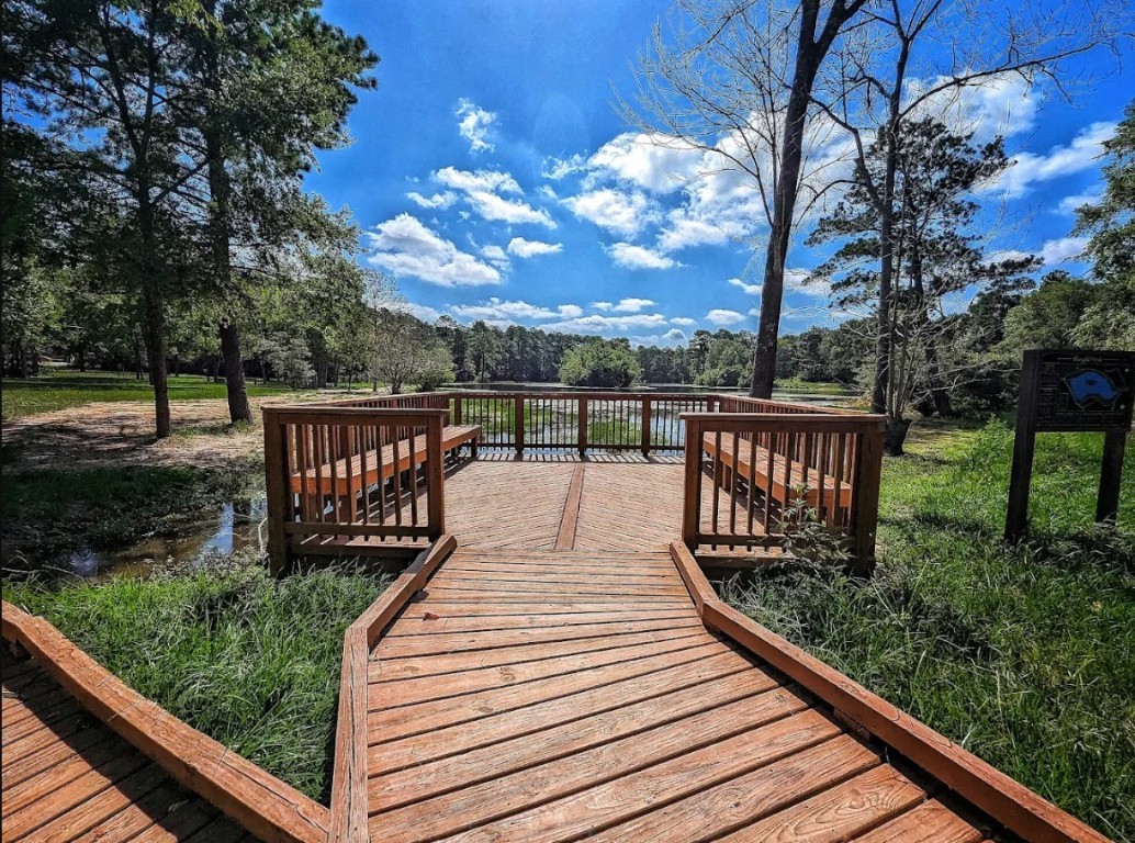 3119 Native Spring Drive, Spring, TX, 77373 | 894427 | Realty Texas LLC